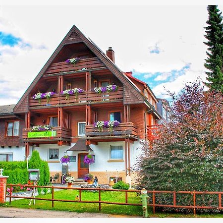 Gastehaus Birke Hotel Titisee-Neustadt Buitenkant foto