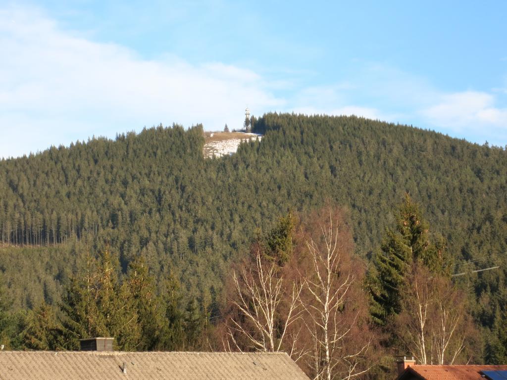 Gastehaus Birke Hotel Titisee-Neustadt Buitenkant foto